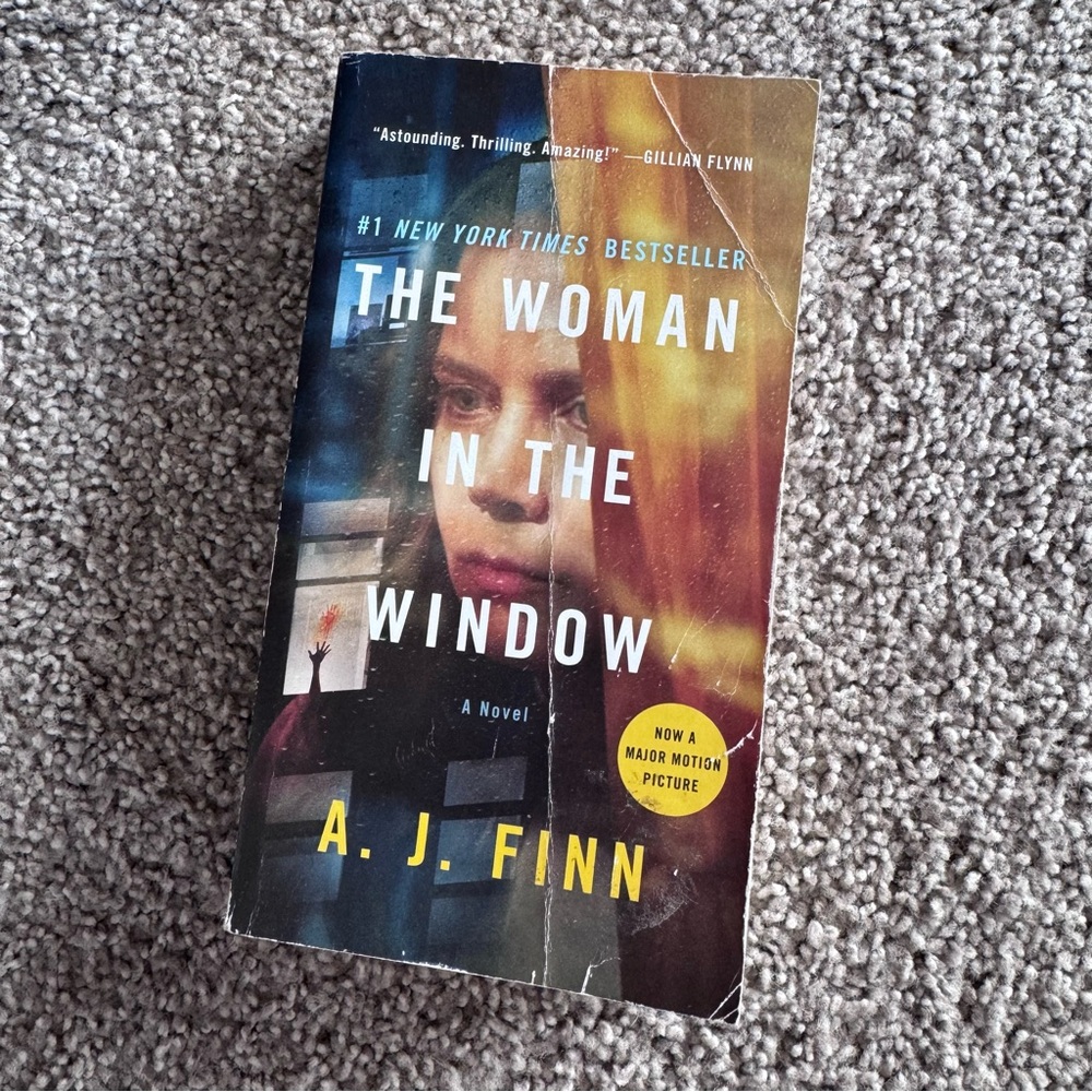 The Woman in the Window book
